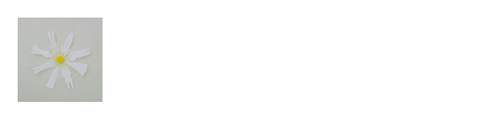 New Digital Single 「恋だろ」 2022.4.15 on Sale