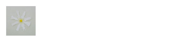 11th Single 「恋だろ/僕らの一歩」 2022.6.15 on Sale