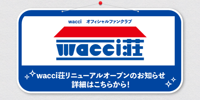 wacci - ワッチ 公式ウェブサイト